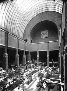 's-Rijks Veeartsenijschool in Utrecht